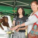 The Green Fayre will return to Beacon Country Park on July 22 and 23.