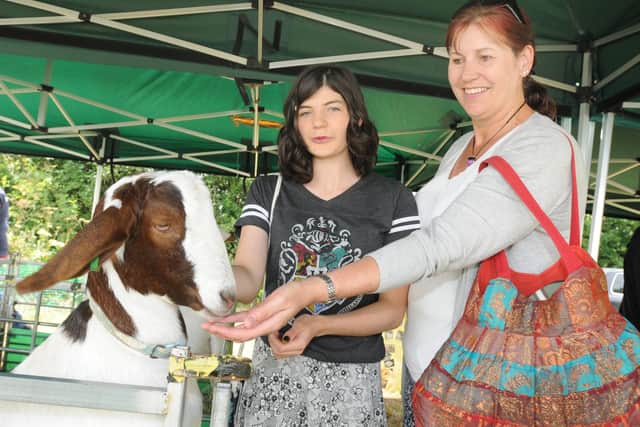The Green Fayre will return to Beacon Country Park on July 22 and 23.