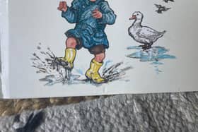 The wonderful Shirley Hughes books are to be treasured.