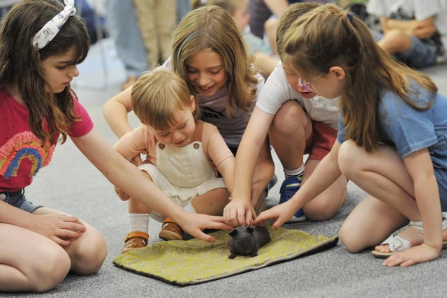 Kids meet a Skinny Pig