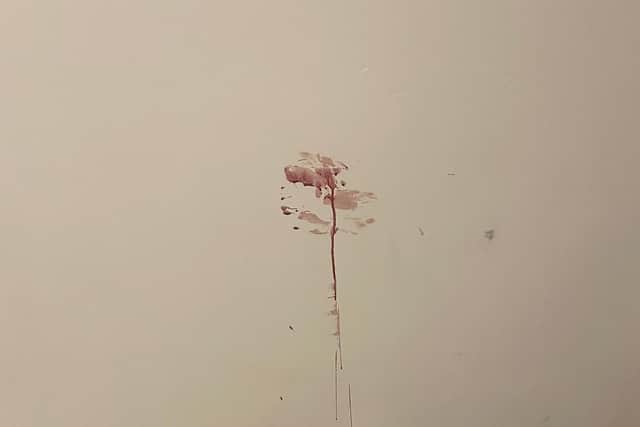Blood was splattered all up the wall forcing the couple to re-decorate