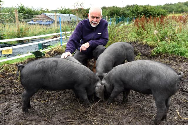 Volunteer Dave Logan at Greenslate Farm