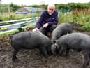 Volunteer Dave Logan at Greenslate Farm