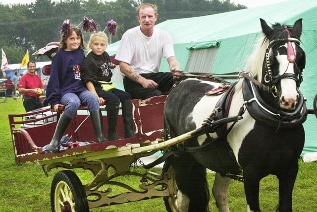 Horse and trap rides at Haigh Steam and Vintage Rally on Saturday 26th of August 2000.                    