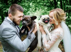 There are many ways to include your dog at your wedding (photo: Adobe)