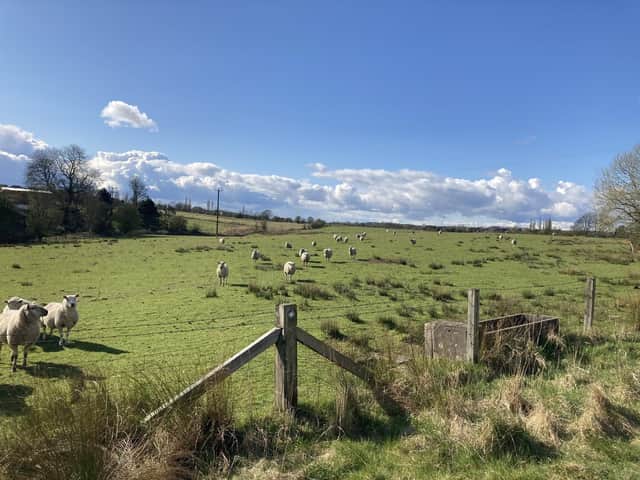 Some of the land earmarked for the Mosley Common homes