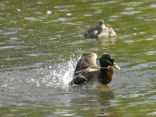 Data from the Environment Agency shows sewage from storm overflows was flowing into water bodies in Wigan for 23,594 hours in 2023, during 3,813 spills