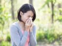 Hay fever season is almost upon us