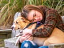 Don’t panic if your dog has a sseizure, but don’t go near your dog’s mouth - they may accidentally bite (photo: Adobe)