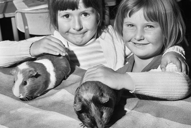 Deborah Callaghan and Lynn Worthington look after guinea pigs at Beech Hill Primary School in June 1977.