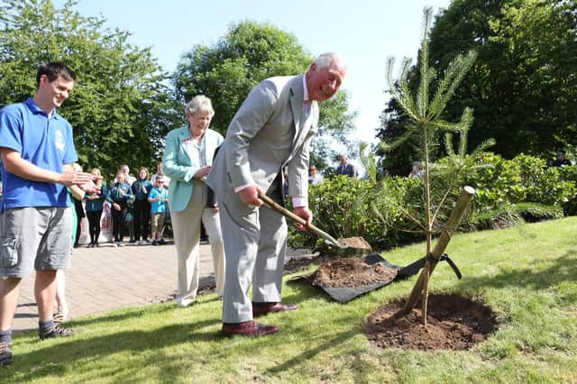 Prince Charles mooted the idea for a maze when he visited Castlebank Park in June 2019.