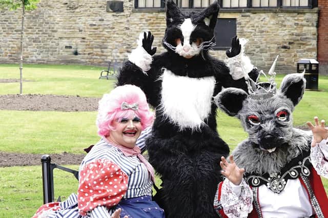Dick Whittington is one of the shows coming to Haigh Woodland Park this summer