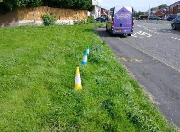 The grass verge on Hillside Avenue, Atherton