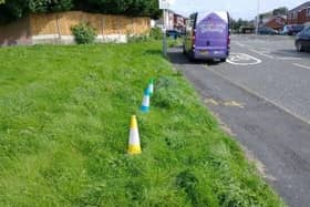 The grass verge on Hillside Avenue, Atherton