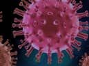 The ever-changing coronavirus