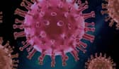 The ever-changing coronavirus