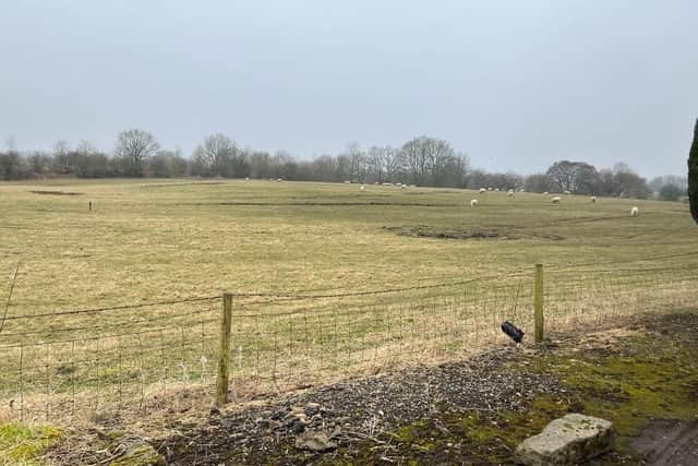 The green fields of Mosley Common, currently home to number of sheep