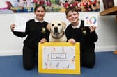 The day of celebration included a dog birthday cake with candles and treats,  Bramble spent time with every class,  joined an assembly featuring a heartwarming photo montage, a quiz and a touching video of children sharing just how much she means to them.