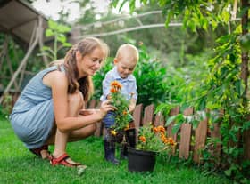 Experts at GardeningExpress.co.uk have selected their ten key tasks to complete in the garden this month.