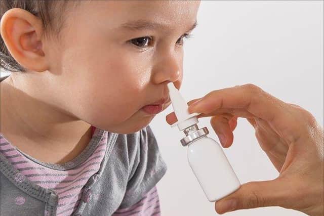 The flu nasal spray can be given to children in schools
