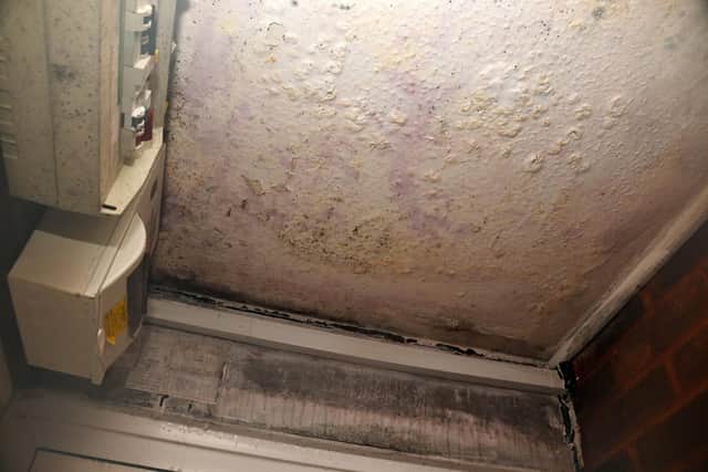 Some of the condensation and mould in the porchway of Martin Donegan's housing association flat.