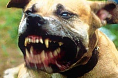 Laws are being further tightened over dangerous dogs