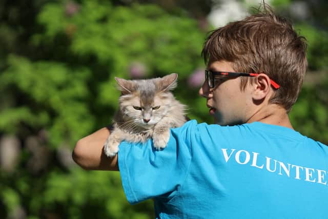 Volunteer to help out the PDSA (photo: Adobe)