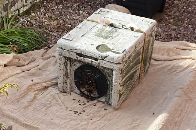 The equipment the bee man used to move the insects