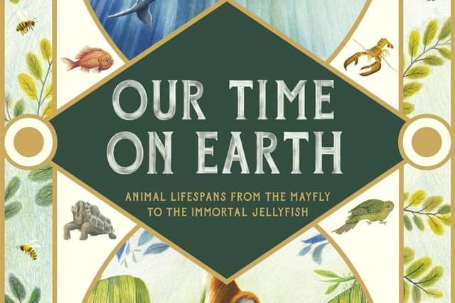 Our Time on Earth by Lily Murray and Jesse Hodgson