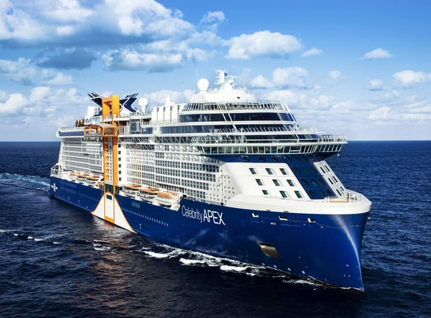Celebrity Apex is one of three new ships in Celebrity's new 'Edge class' series. Image: Michel Verdure