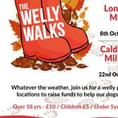 Medical Detection Dogs Welly walk - join in at Longford Park, Manchester