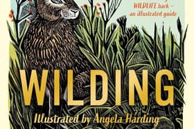 Wilding: How to Bring Wildlife Back – An Illustrated Guide  by Isabella Tree and Angela Harding