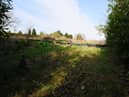 General view of Rectory Lane, Standish - A gap in the bushes lead to an opening as housing developers are asking for an alternative access to develop a new housing estate