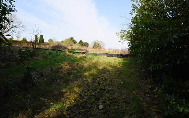 General view of Rectory Lane, Standish - A gap in the bushes lead to an opening as housing developers are asking for an alternative access to develop a new housing estate