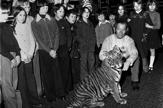 RETRO 1978 -  A Bengal Tiger cub greeted Saturday morning ABC Cinema minors club members in Wigan, to launch the film When the North Wind Blows.