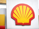 Shell made record profits last year
