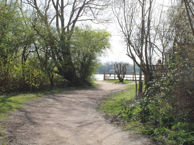 Pennington Flash
