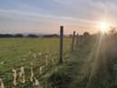 An atmospheric sunrise picture