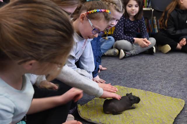 Curious Critters event at Standish Library