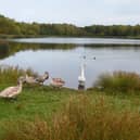 The Wildlife Trust has outlined five steps for the government to take to protect nature