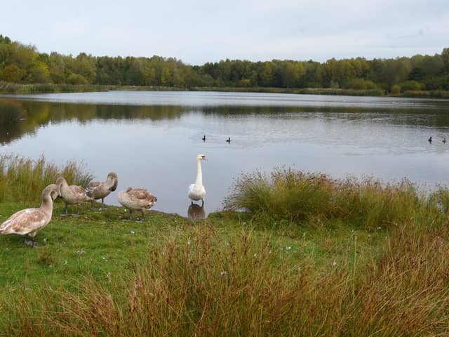 The Wildlife Trust has outlined five steps for the government to take to protect nature
