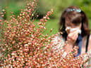 A woman blows her nose as the return of pleasant weather marks the arrival of allergenic pollen
