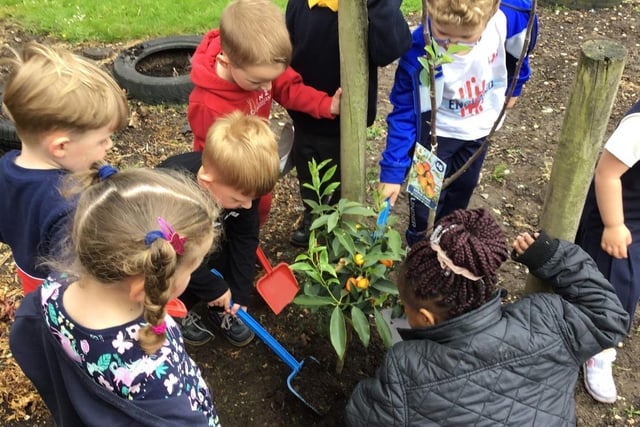 Children at Lamberhead Green Headstart Nursery planted a tree for the Queen.
