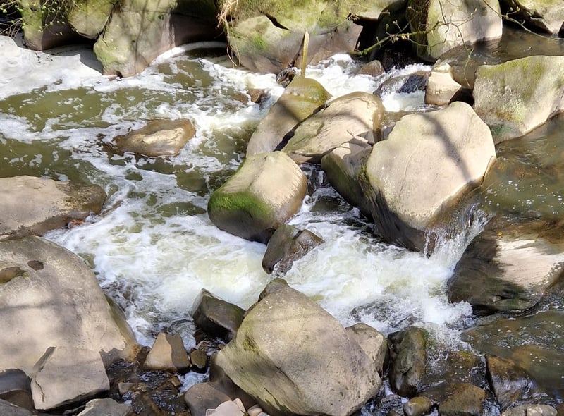 The walk continues up the River Darwen en route to the weir
