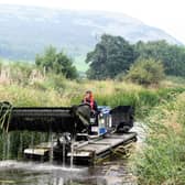 A weed removal boat in action