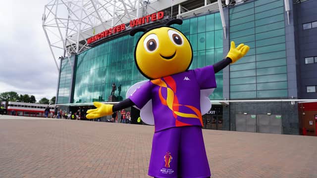 RugBee has been selected as the mascot for the Rugby League World Cup