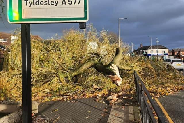 A tree was blown down on Bolton Road, Atherton, on Monday during Storm Debi