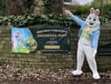 The park is hosting its first Easter egg hunt from April 7- April 10
£15 per child, £2.50 per adult
Tickets available at: https://winstanleyparkevents.co.uk/