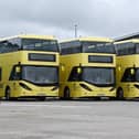 The Bee Network's yellow buses have been on the roads since September last year