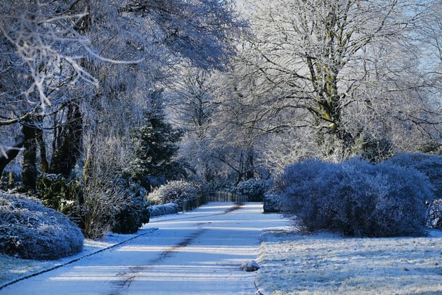 Wigan snow scenes - Snow falls on Mesnes Park, Wigan.